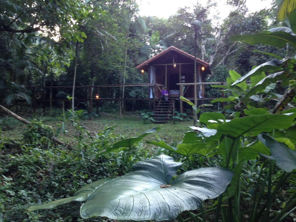 Glamping Mangarito Hotel Iporanga Exterior photo